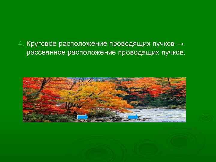4. Круговое расположение проводящих пучков → рассеянное расположение проводящих пучков. 