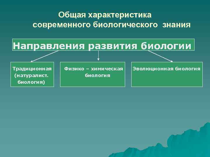 Общая характеристика современного биологического знания Направления развития биологии Традиционная (натуралист. биология) Физико – химическая