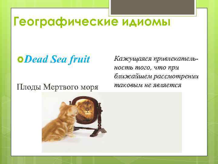 Географические идиомы Dead Sea fruit Плоды Мертвого моря Кажущаяся привлекательность того, что при ближайшем