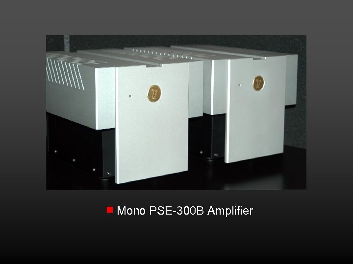 Mono PSE-300 B Amplifier 