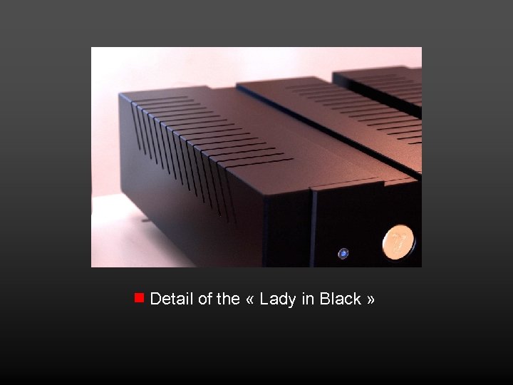 Detail of the « Lady in Black » 