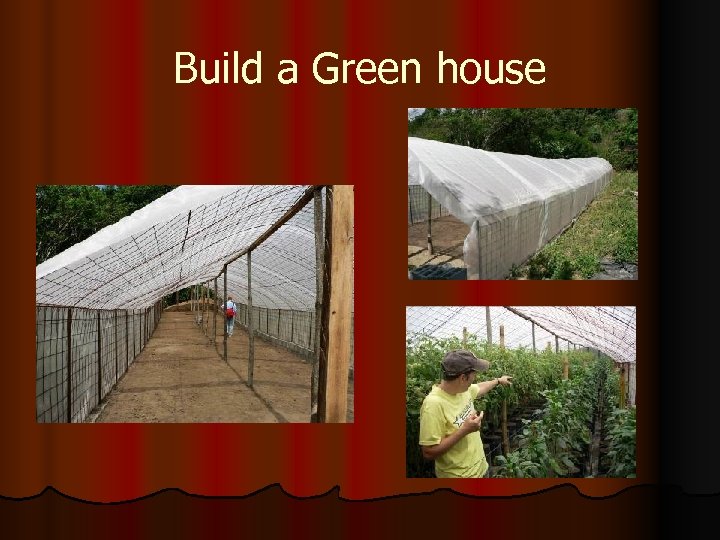 Build a Green house 