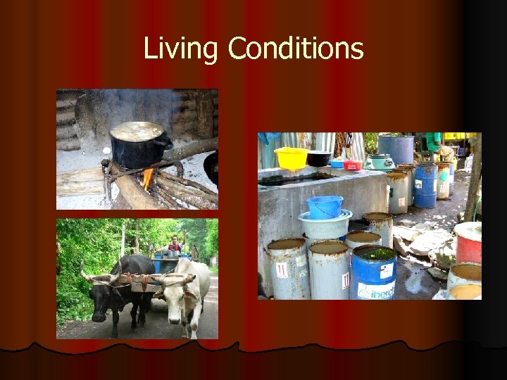 Living Conditions 