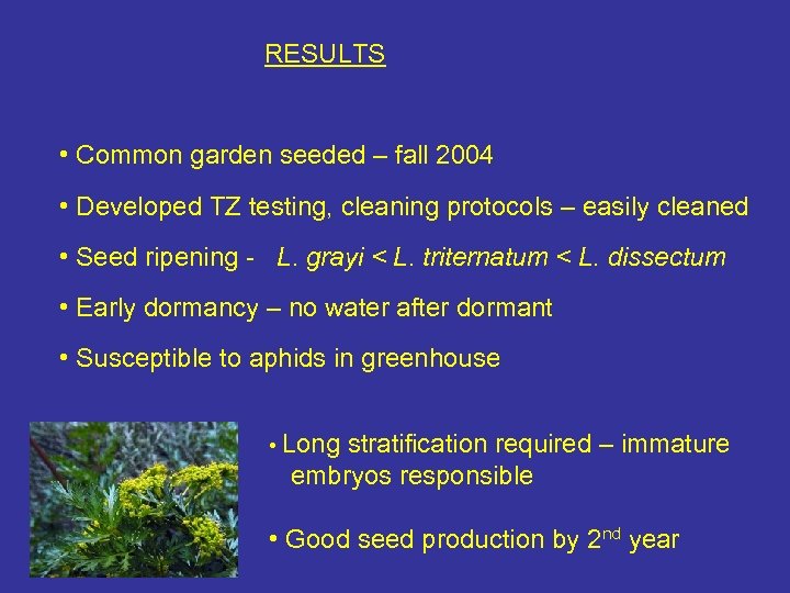 RESULTS • Common garden seeded – fall 2004 • Developed TZ testing, cleaning protocols