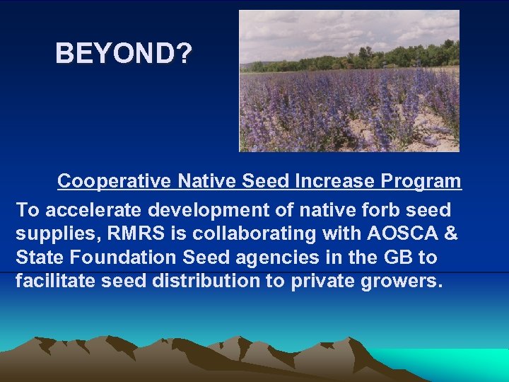 BEYOND? Cooperative Native Seed Increase Program To accelerate development of native forb seed supplies,