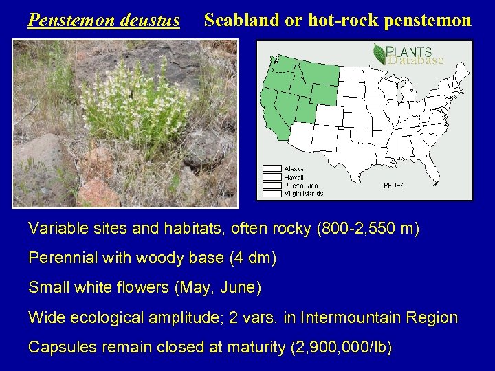 Penstemon deustus Scabland or hot-rock penstemon Variable sites and habitats, often rocky (800 -2,