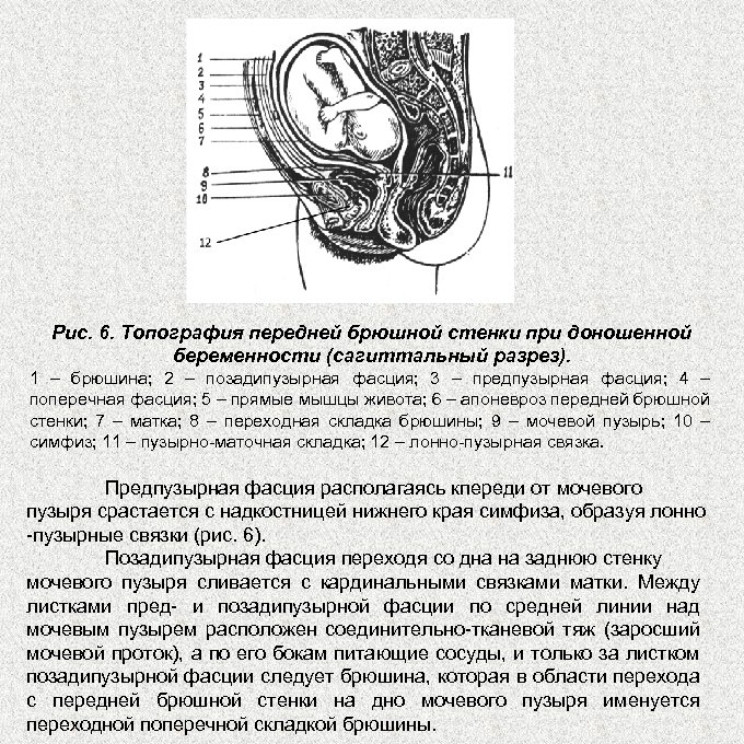 Плодоразрушающие операции презентация