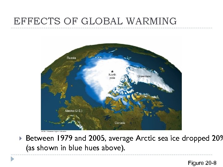 EFFECTS OF GLOBAL WARMING Between 1979 and 2005, average Arctic sea ice dropped 20%