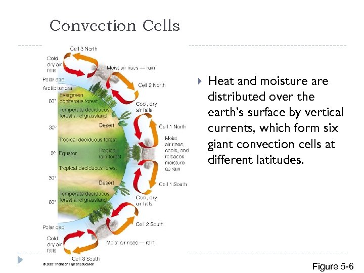Convection Cells Heat and moisture are distributed over the earth’s surface by vertical currents,