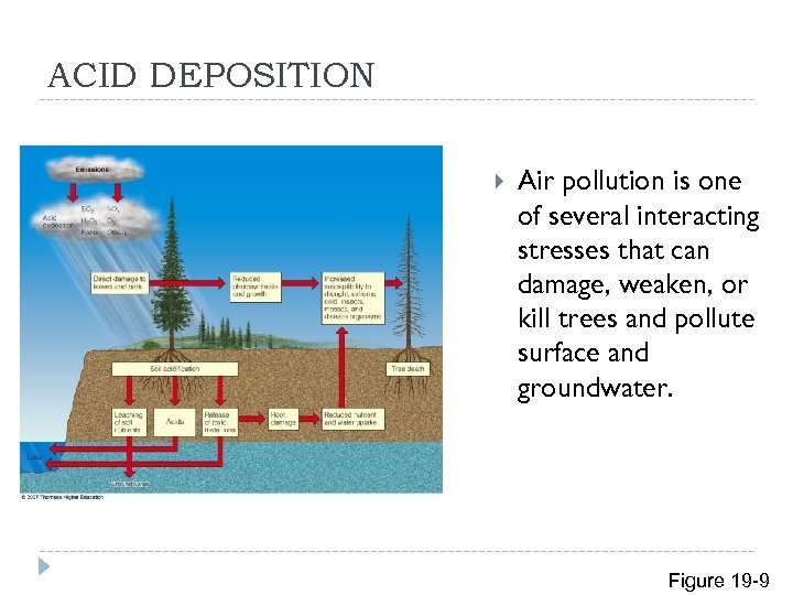 ACID DEPOSITION Air pollution is one of several interacting stresses that can damage, weaken,