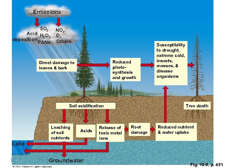 Emissions SO 2 Acid H O 2 2 deposition PANs NOx O 3 Others