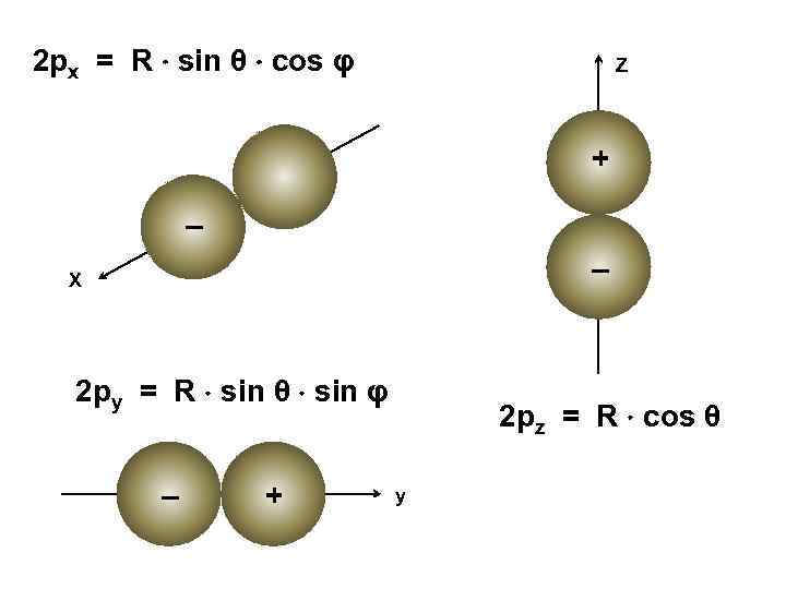 2 рx = R sin θ cos φ Z + + – – X