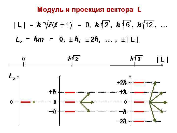 Модуль и проекция вектора L |L| = ( + 1) = 0, 2 ,