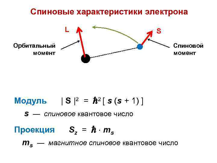 Спиновые характеристики электрона L Орбитальный момент S Спиновой момент Модуль | S |2 =