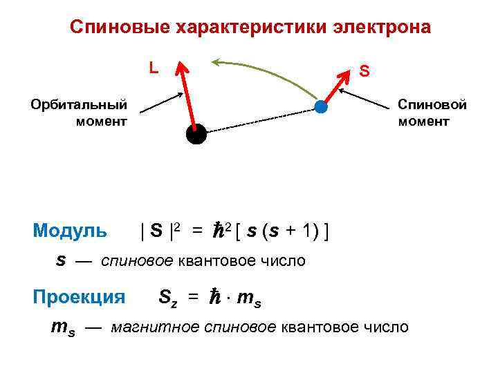 4 характеристики электрона. Спин и спиновый магнитный момент электрона. Орбитальные и спиновые характеристики электрона в атоме. Спиновый магнитный момент электрона формула. Орбитальный и спиновый момент.