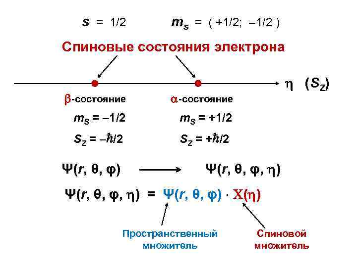 s = 1/2 ms = ( +1/2; – 1/2 ) Спиновые состояния электрона -состояние