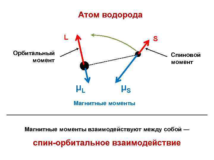 Атом водорода L S Орбитальный момент Спиновой момент μL μS Магнитные моменты взаимодействуют между