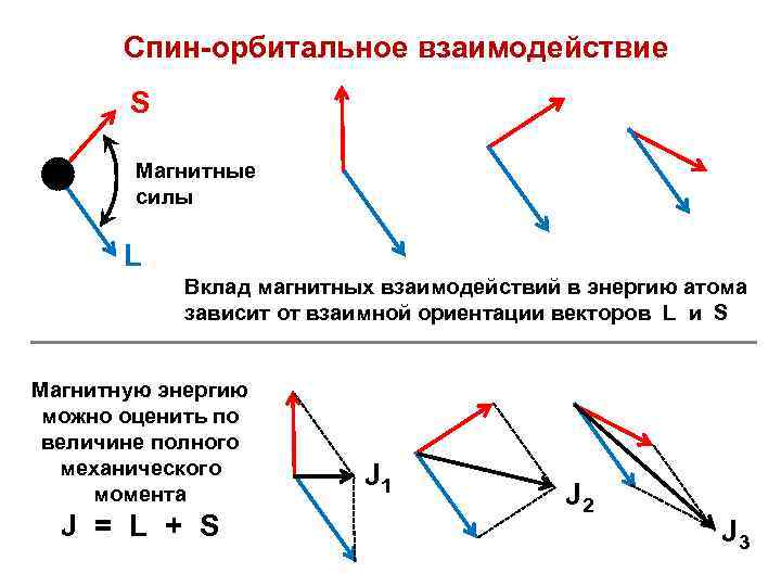 Спин-орбитальное взаимодействие S Магнитные силы L Вклад магнитных взаимодействий в энергию атома зависит от
