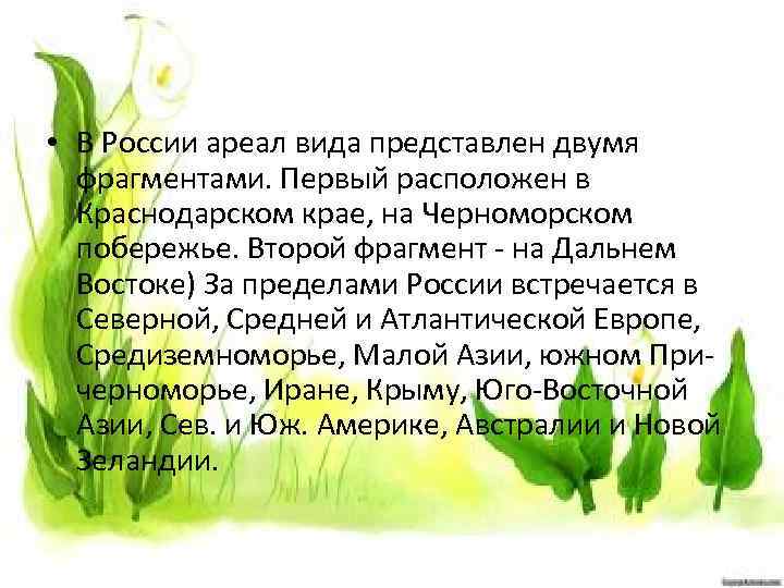  • В России ареал вида представлен двумя фрагментами. Первый расположен в Краснодарском крае,