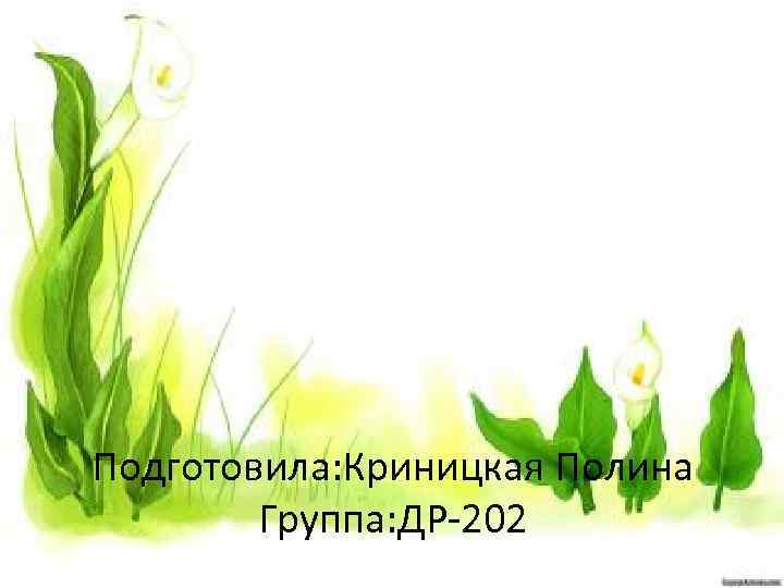 Подготовила: Криницкая Полина Группа: ДР-202 