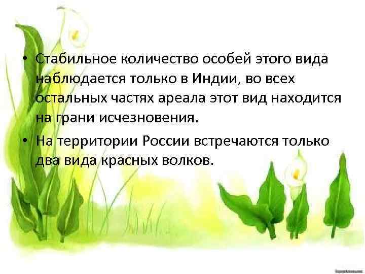  • Стабильное количество особей этого вида наблюдается только в Индии, во всех остальных