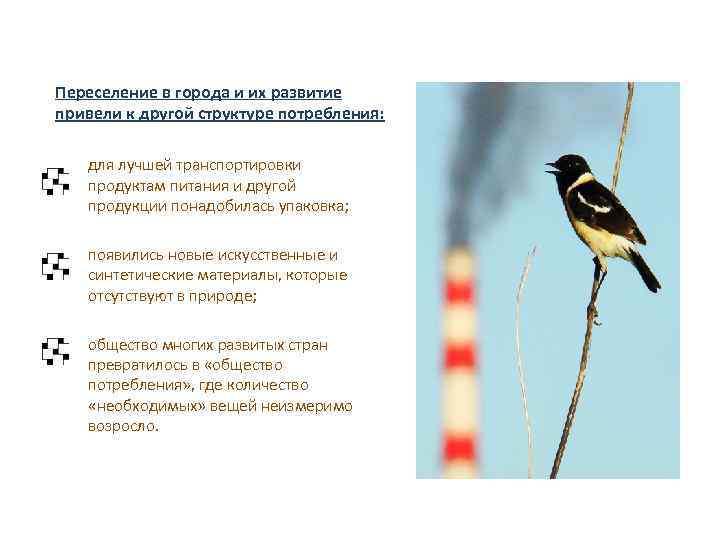 Переселение в города и их развитие привели к другой структуре потребления: для лучшей транспортировки