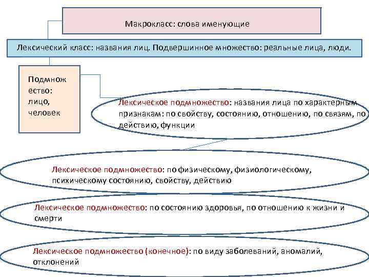 Макрокласс: слова именующие Лексический класс: названия лиц. Подвершинное множество: реальные лица, люди. Подмнож ество: