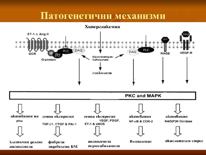 Патогенетични механизми 