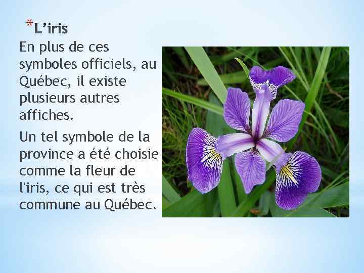 * En plus de ces symboles officiels, au Québec, il existe plusieurs autres affiches.