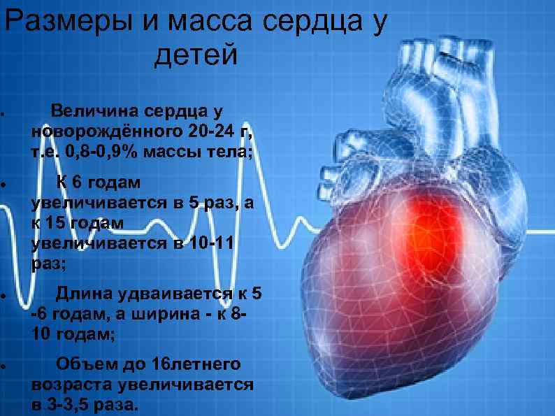 Почему изображение сердца имеет такую форму