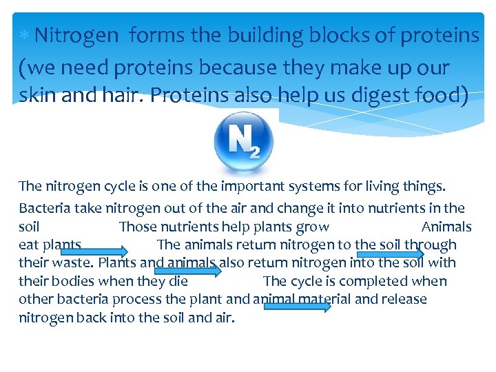  Nitrogen forms the building blocks of proteins (we need proteins because they make