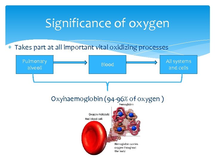 Significance of oxygen Takes part at all important vital oxidizing processes Pulmonary alveoli Blood