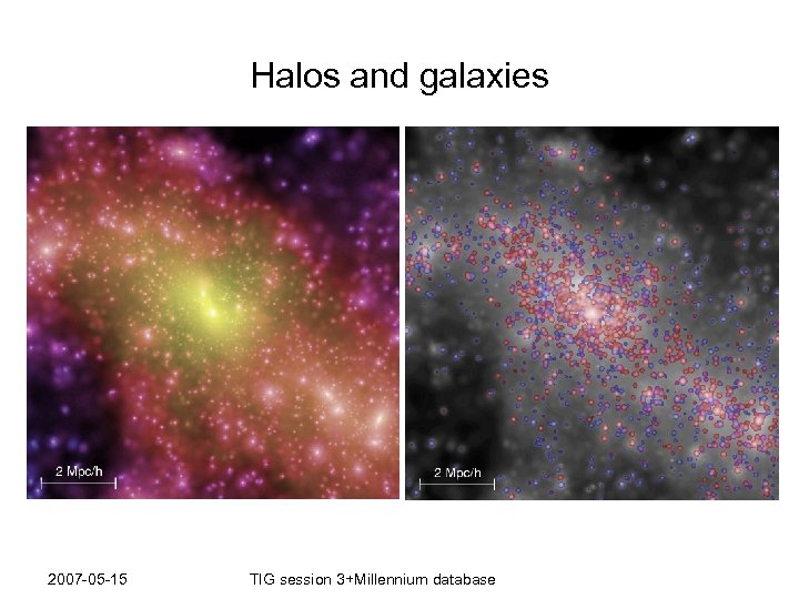Halos and galaxies 2007 -05 -15 TIG session 3+Millennium database 