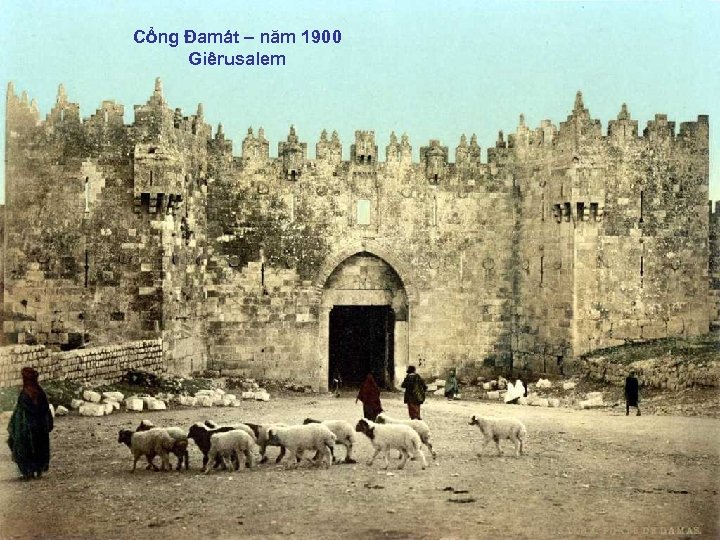 Cổng Đamát – năm 1900 Giêrusalem 
