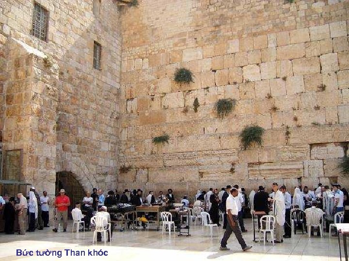 Bức tường Than khóc 
