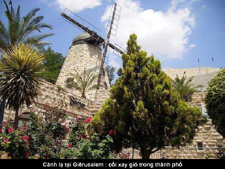 Cảnh lạ tại Giêrusalem : cối xay gió trong thành phố 