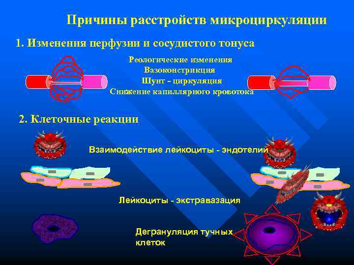 Причины расстройств микроциркуляции 1. Изменения перфузии и сосудистого тонуса Реологические изменения Вазоконстрикция Шунт -