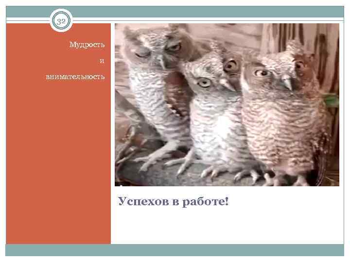 32 Мудрость и внимательность Успехов в работе! 