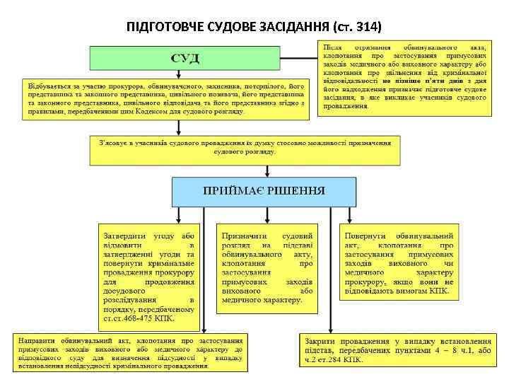 ПІДГОТОВЧЕ СУДОВЕ ЗАСІДАННЯ (ст. 314) 