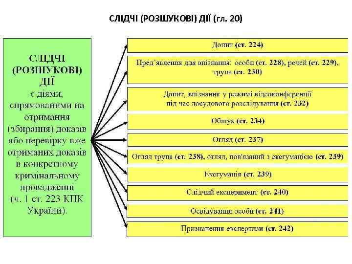 СЛІДЧІ (РОЗШУКОВІ) ДІЇ (гл. 20) 