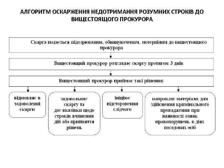 АЛГОРИТМ ОСКАРЖЕННЯ НЕДОТРИМАННЯ РОЗУМНИХ СТРОКІВ ДО ВИЩЕСТОЯЩОГО ПРОКУРОРА 