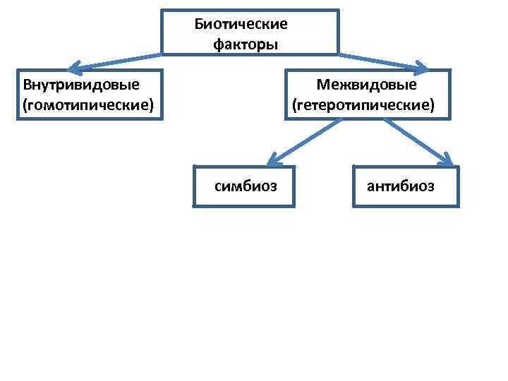 Биотические факторы Внутривидовые (гомотипические) Межвидовые (гетеротипические) симбиоз антибиоз 