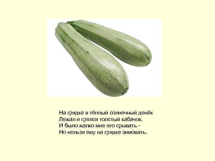 На грядке в тёплый солнечный денёк Лежал и грелся толстый кабачок. И было жалко