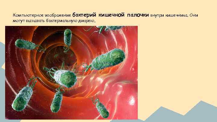 Компьютерное изображение бактерий могут вызывать бактериальную диарею. кишечной палочки внутри кишечника. Они 