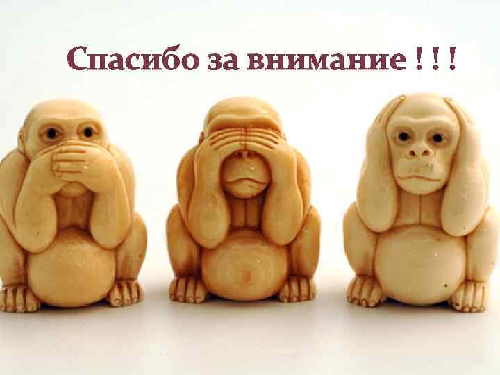Спасибо за внимание ! ! ! 