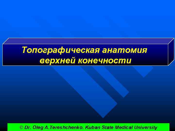 Топографическая анатомия верхней конечности © Dr. Oleg A. Tereshchenko. Kuban State Medical University 