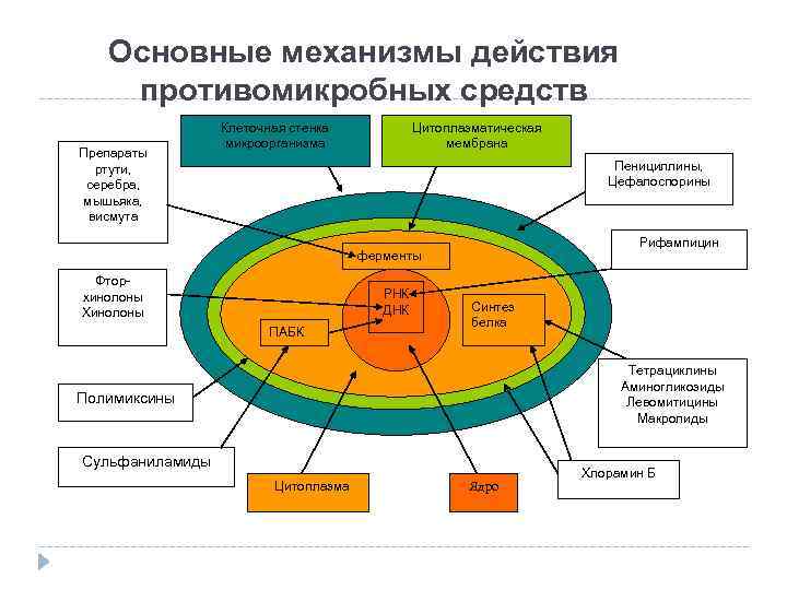 Основные механизмы. Механизм противомикробного действия. Механизм действия противомикробных средств. Механизм действия противомикозных препаратов. Основные механизмы антимикробного действия.