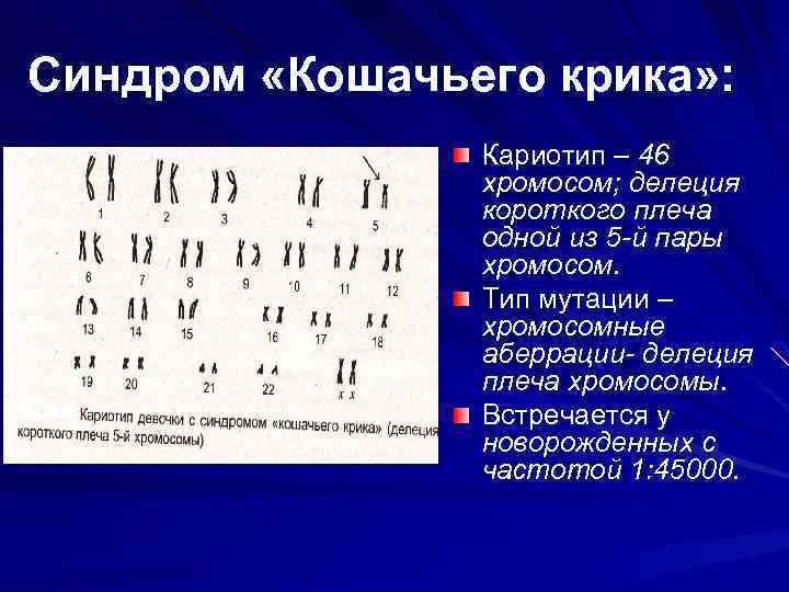 Каким номером на рисунке обозначен тип мутации характерный для больных с синдромом кошачьего крика