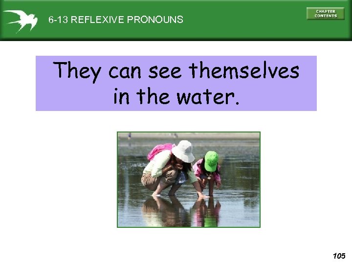 6 -13 REFLEXIVE PRONOUNS They can see themselves in the water. 105 