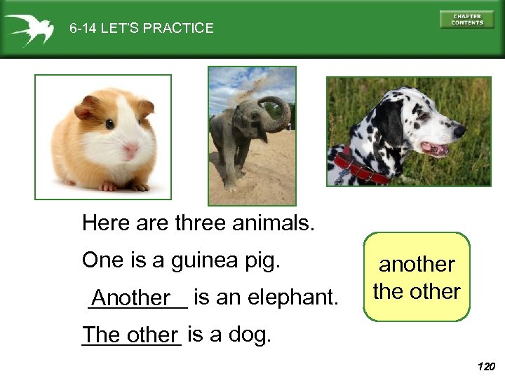6 -14 LET’S PRACTICE Here are three animals. One is a guinea pig. ____